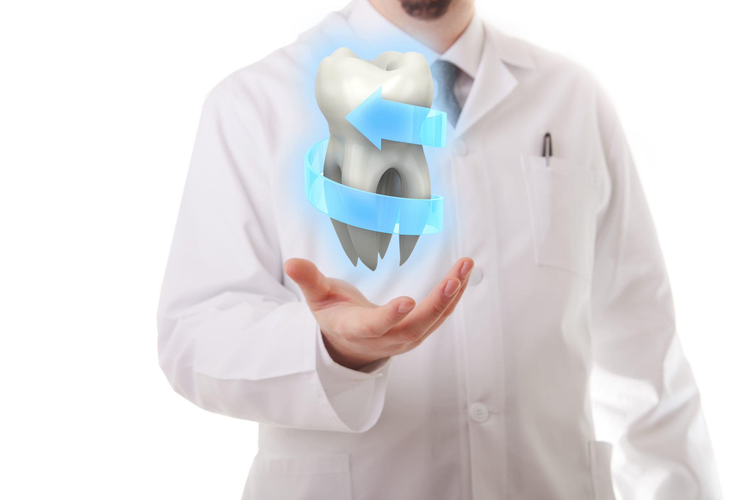 Male doctor showing a molar tooth